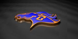2008 NAFL2 National Champions the Beaufort Broncos logo in 3D.