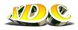 logo design created for XDC after school program. 3D logo created for school banners to promote the program.